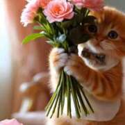 ヒメ日記 2025/04/06 07:48 投稿 深澤涼 五十路マダムエクスプレス船橋店(カサブランカグループ)