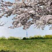 ヒメ日記 2025/04/09 00:04 投稿 深澤涼 五十路マダムエクスプレス船橋店(カサブランカグループ)