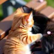 ヒメ日記 2025/04/12 13:42 投稿 深澤涼 五十路マダムエクスプレス船橋店(カサブランカグループ)