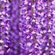 ヒメ日記 2025/04/27 23:46 投稿 深澤涼 五十路マダムエクスプレス船橋店(カサブランカグループ)