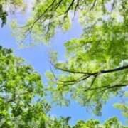 ヒメ日記 2025/05/03 14:16 投稿 深澤涼 五十路マダムエクスプレス船橋店(カサブランカグループ)