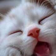 ヒメ日記 2025/05/07 04:02 投稿 深澤涼 五十路マダムエクスプレス船橋店(カサブランカグループ)