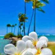 ヒメ日記 2025/05/09 20:48 投稿 深澤涼 五十路マダムエクスプレス船橋店(カサブランカグループ)