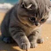 ヒメ日記 2025/05/11 01:00 投稿 深澤涼 五十路マダムエクスプレス船橋店(カサブランカグループ)