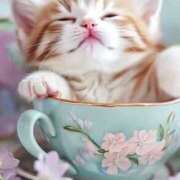 ヒメ日記 2025/05/15 14:44 投稿 深澤涼 五十路マダムエクスプレス船橋店(カサブランカグループ)