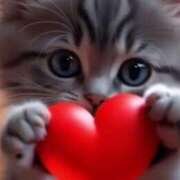 ヒメ日記 2025/05/17 22:00 投稿 深澤涼 五十路マダムエクスプレス船橋店(カサブランカグループ)