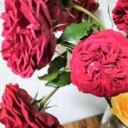 ヒメ日記 2025/05/27 22:04 投稿 深澤涼 五十路マダムエクスプレス船橋店(カサブランカグループ)