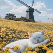 ヒメ日記 2025/05/28 11:50 投稿 深澤涼 五十路マダムエクスプレス船橋店(カサブランカグループ)