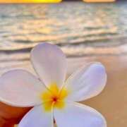 ヒメ日記 2025/06/01 23:16 投稿 深澤涼 五十路マダムエクスプレス船橋店(カサブランカグループ)