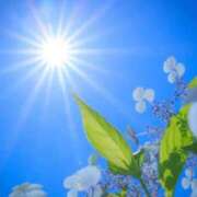 ヒメ日記 2025/06/04 18:22 投稿 深澤涼 五十路マダムエクスプレス船橋店(カサブランカグループ)