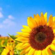 ヒメ日記 2025/06/14 15:02 投稿 深澤涼 五十路マダムエクスプレス船橋店(カサブランカグループ)