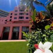 ヒメ日記 2025/07/03 09:22 投稿 深澤涼 五十路マダムエクスプレス船橋店(カサブランカグループ)