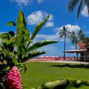 ヒメ日記 2025/07/06 09:16 投稿 深澤涼 五十路マダムエクスプレス船橋店(カサブランカグループ)