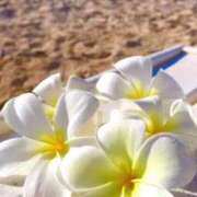 ヒメ日記 2025/07/06 21:34 投稿 深澤涼 五十路マダムエクスプレス船橋店(カサブランカグループ)