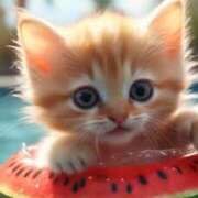 ヒメ日記 2025/07/21 14:52 投稿 深澤涼 五十路マダムエクスプレス船橋店(カサブランカグループ)