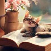 ヒメ日記 2025/07/28 08:16 投稿 深澤涼 五十路マダムエクスプレス船橋店(カサブランカグループ)