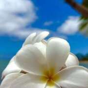 ヒメ日記 2025/08/02 17:42 投稿 深澤涼 五十路マダムエクスプレス船橋店(カサブランカグループ)