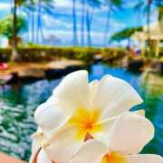 ヒメ日記 2025/08/08 09:21 投稿 深澤涼 五十路マダムエクスプレス船橋店(カサブランカグループ)