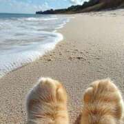 ヒメ日記 2025/08/17 20:40 投稿 深澤涼 五十路マダムエクスプレス船橋店(カサブランカグループ)