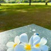 ヒメ日記 2025/08/27 14:18 投稿 深澤涼 五十路マダムエクスプレス船橋店(カサブランカグループ)