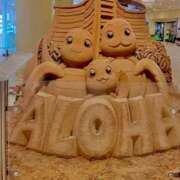 ヒメ日記 2025/08/29 21:28 投稿 深澤涼 五十路マダムエクスプレス船橋店(カサブランカグループ)