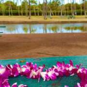 ヒメ日記 2025/08/30 22:36 投稿 深澤涼 五十路マダムエクスプレス船橋店(カサブランカグループ)