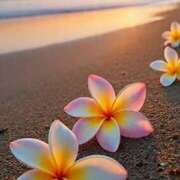 ヒメ日記 2025/09/04 12:02 投稿 深澤涼 五十路マダムエクスプレス船橋店(カサブランカグループ)