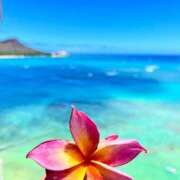 ヒメ日記 2025/09/13 19:36 投稿 深澤涼 五十路マダムエクスプレス船橋店(カサブランカグループ)