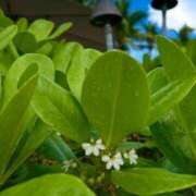 ヒメ日記 2025/09/19 21:12 投稿 深澤涼 五十路マダムエクスプレス船橋店(カサブランカグループ)