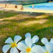 ヒメ日記 2025/09/22 09:30 投稿 深澤涼 五十路マダムエクスプレス船橋店(カサブランカグループ)