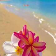 ヒメ日記 2025/09/25 17:18 投稿 深澤涼 五十路マダムエクスプレス船橋店(カサブランカグループ)