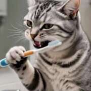 ヒメ日記 2025/09/27 12:46 投稿 深澤涼 五十路マダムエクスプレス船橋店(カサブランカグループ)