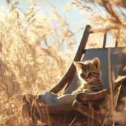 ヒメ日記 2025/10/13 10:56 投稿 深澤涼 五十路マダムエクスプレス船橋店(カサブランカグループ)