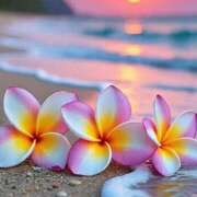 ヒメ日記 2025/10/14 20:44 投稿 深澤涼 五十路マダムエクスプレス船橋店(カサブランカグループ)