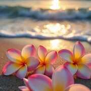 ヒメ日記 2025/10/18 21:48 投稿 深澤涼 五十路マダムエクスプレス船橋店(カサブランカグループ)