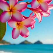 ヒメ日記 2025/10/30 19:48 投稿 深澤涼 五十路マダムエクスプレス船橋店(カサブランカグループ)