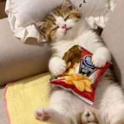 ヒメ日記 2025/11/03 18:12 投稿 深澤涼 五十路マダムエクスプレス船橋店(カサブランカグループ)