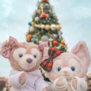 ヒメ日記 2025/12/06 20:04 投稿 深澤涼 五十路マダムエクスプレス船橋店(カサブランカグループ)