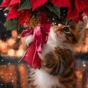 深澤涼 《ありがとうございました》 五十路マダムエクスプレス船橋店(カサブランカグループ)