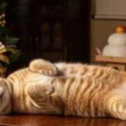 ヒメ日記 2026/01/03 12:32 投稿 深澤涼 五十路マダムエクスプレス船橋店(カサブランカグループ)