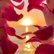 ヒメ日記 2026/02/24 21:56 投稿 深澤涼 五十路マダムエクスプレス船橋店(カサブランカグループ)