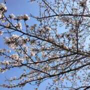 深澤涼 《ありがとうございました》 五十路マダムエクスプレス船橋店(カサブランカグループ)