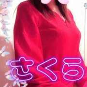 さくら 昨日のお礼 完熟ばなな札幌・すすきの