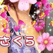 さくら 昨日のお礼 完熟ばなな札幌・すすきの