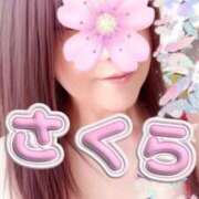 さくら お礼です 完熟ばなな札幌・すすきの