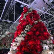 ヒメ日記 2024/12/24 08:17 投稿 リアナ【イイ女の代名詞】 ドMなバニーちゃん和歌山店