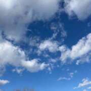 ヒメ日記 2025/05/31 10:05 投稿 リアナ【イイ女の代名詞】 ドMなバニーちゃん和歌山店