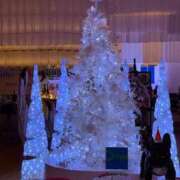 ヒメ日記 2025/12/22 08:16 投稿 リアナ【イイ女の代名詞】 ドMなバニーちゃん和歌山店