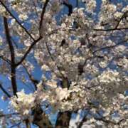 ヒメ日記 2026/04/06 08:54 投稿 リアナ【イイ女の代名詞】 ドMなバニーちゃん和歌山店