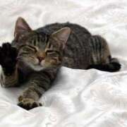 にじか 🐾本日出勤シマス🐾 熟女家 堺東店